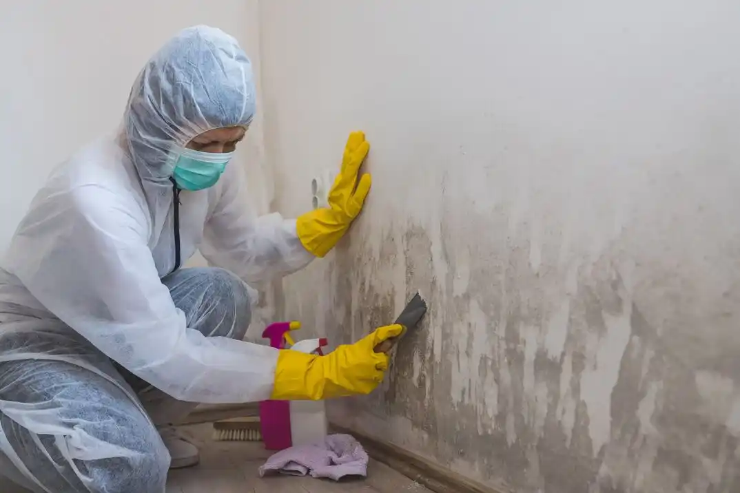 water damage restoration service Forest Heights